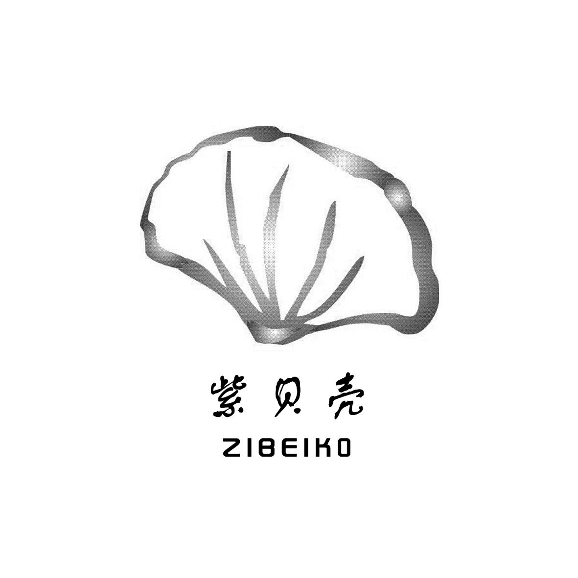 紫贝壳 ZIBEIKO;ZIBEIKO