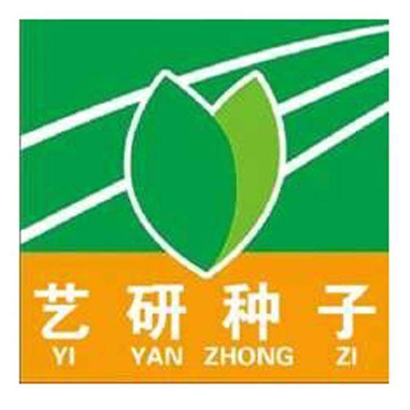 艺研种子;YIYANZHONGZI