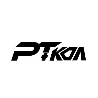 PT+KOA;PTKOA