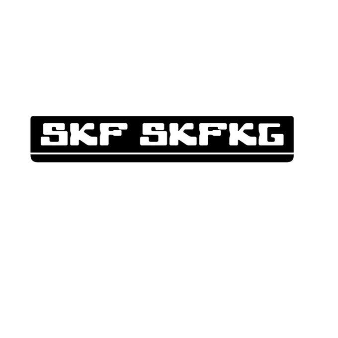 SKF SKFKG;SKFSKFKG