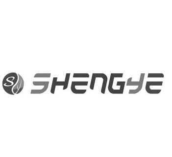 SHENGYE;SHENGYE