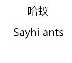 哈蚁 SAYHI ANTS;SAYHI ANTS