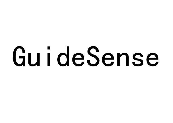 ;GUIDESENSE