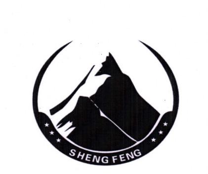 ;SHENG FENG