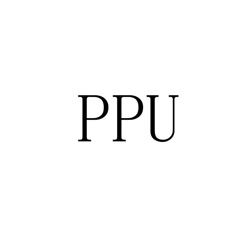 PPU;PPU