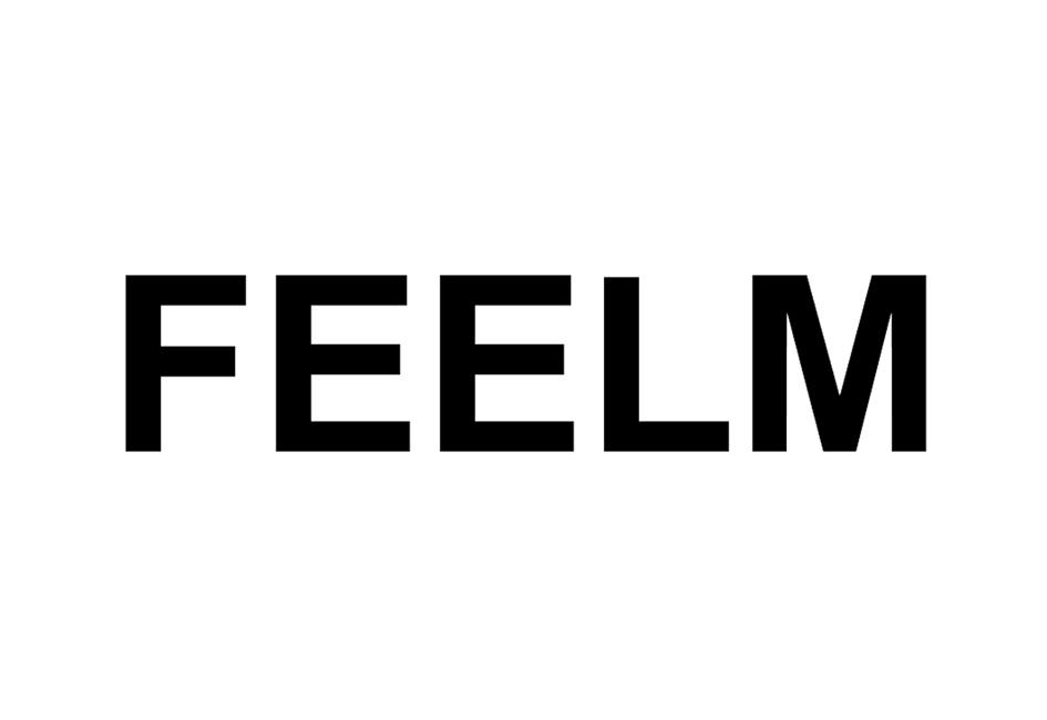 FEELM;FEELM