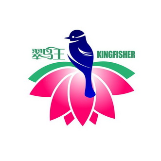 翠鸟王  KINGFISHER;KINGFISHER