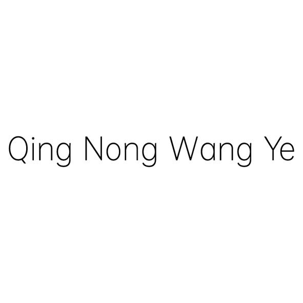 QING NONG WANG YE;QING NONG WANG YE