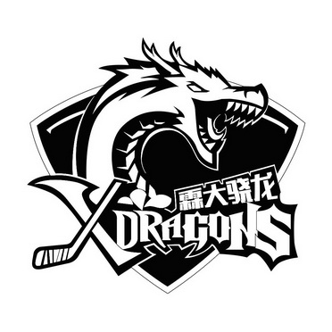 霖大骁龙;XDRAGONS