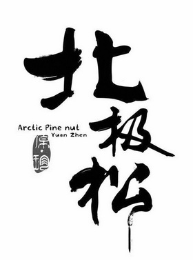 北极松 原珍 ARCTIC PINE NUT YUAN ZHEN;ARCTIC PINE NUT YUAN ZHEN