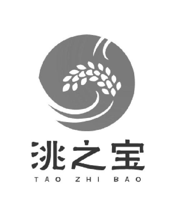 洮之宝;TAOZHIBAO