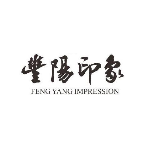 丰阳印象 FENG YANG IMPRESSION;FENG YANG IMPRESSION