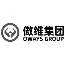 傲维集团 OWAYS GROUP;OWAYS GROUP