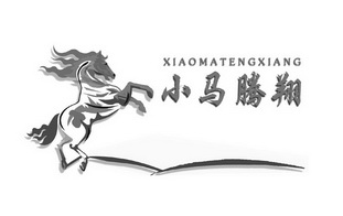 小马腾翔;XIAOMATENGXIANG