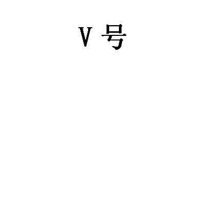 V 号;V