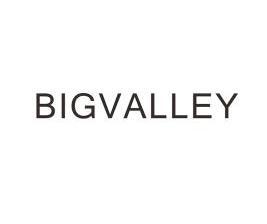 BIGVALLEY;BIGVALLEY