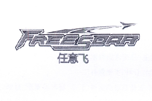 任意飞 FREESOAR;FREESOAR