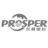 永鑫国际;PROSPER