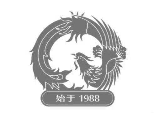 始于;1988