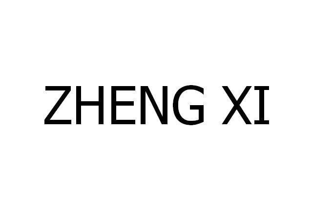 ZHENG XI;ZHENG XI