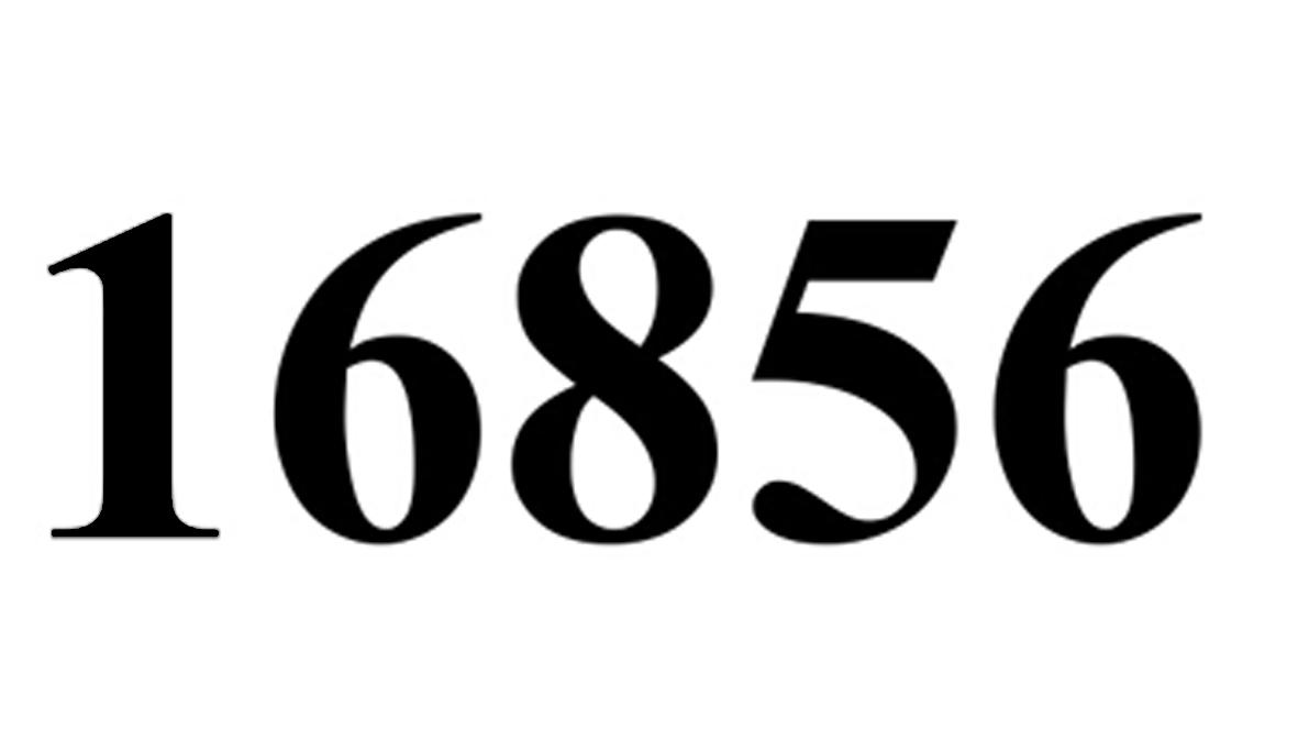 16856;16856