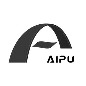 ;AIPU