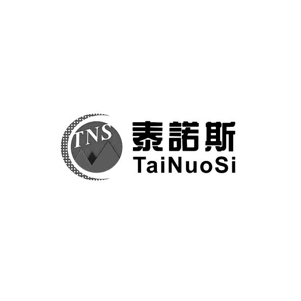 泰诺斯 TNS;TAINUOSI;TNS