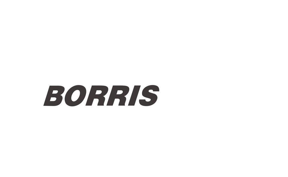 BORRIS;BORRIS