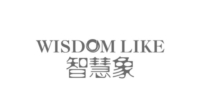 智慧象;WISDOM LIKE