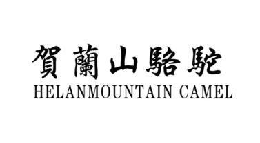 贺兰山骆驼 HELANMOUNTAIN CAMEL;HELANMOUNTAINCAMEL