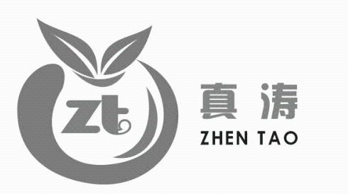 ZT 真涛;ZT