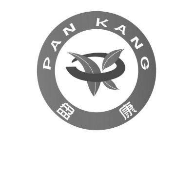 盘康;PANKANG