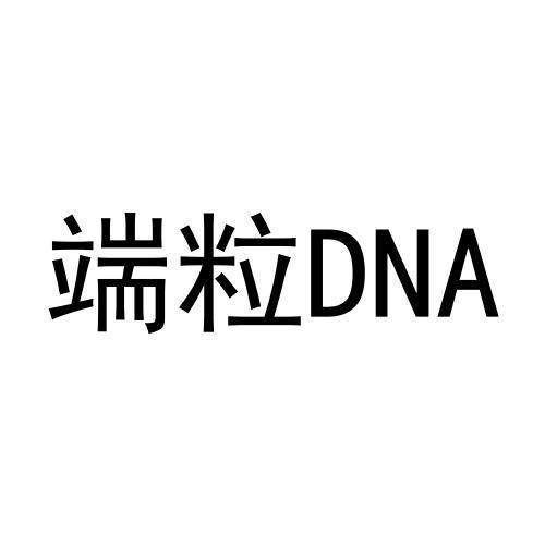 端粒;DNA