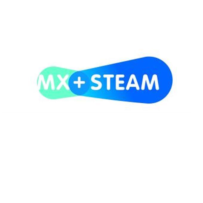 MX+STEAM;MXSTEAM