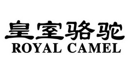 皇室骆驼 ROYAL CAMEL;ROYAL CAMEL