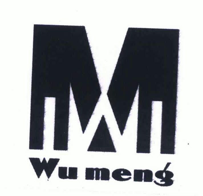 WU MENG;WU MENG