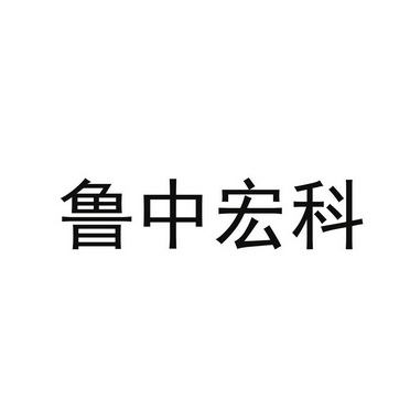 鲁中宏科