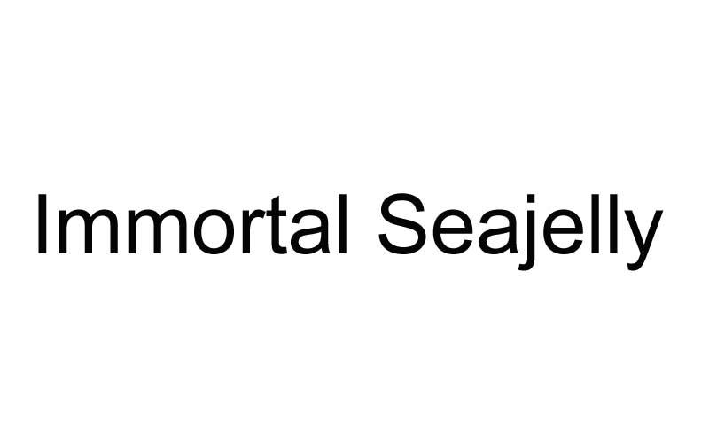 IMMORTAL SEAJELLY