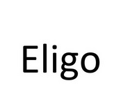 ELIGO;ELIGO