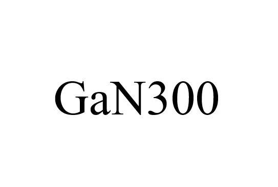 GAN 300