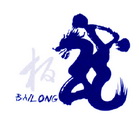 柏龙;BAILONG