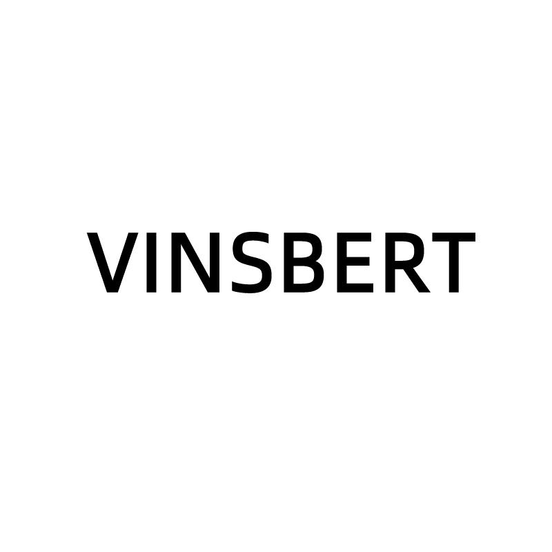 VINSBERT