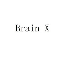 BRAIN-X;BRAINX