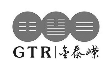 金泰嵘;GTR