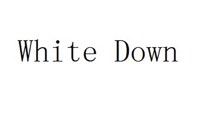 WHITE DOWN;WHITE DOWN