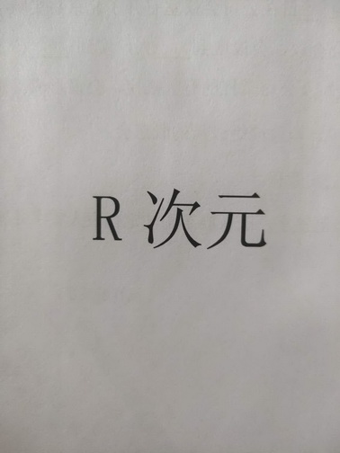 次元;R