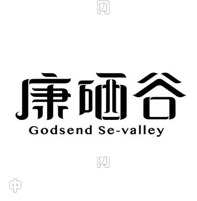 康硒谷 GODSEND SE-VALLEY;GODSENDSEVALLEY