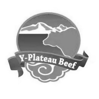 Y-PLATEAU BEEF;YPLATEAU BEEF