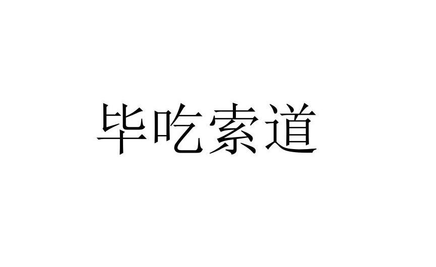 毕吃索道