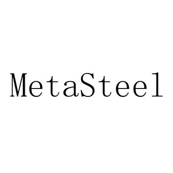 METASTEEL;METASTEEL